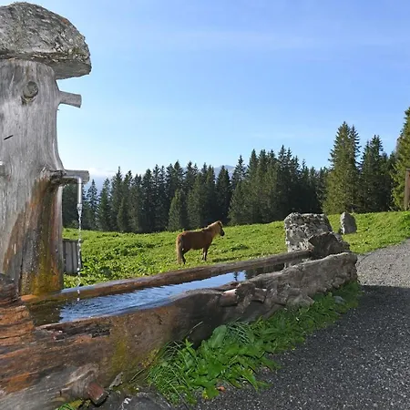 Edelweiß am Öberle-3